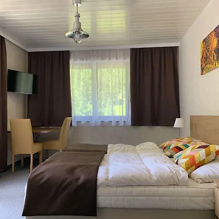 酒店 Haas 巴德加斯坦