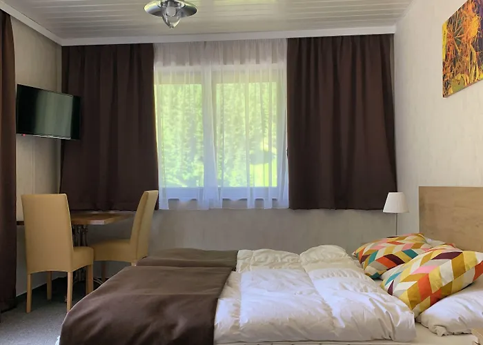 ホテル Haas バードガシュタイン